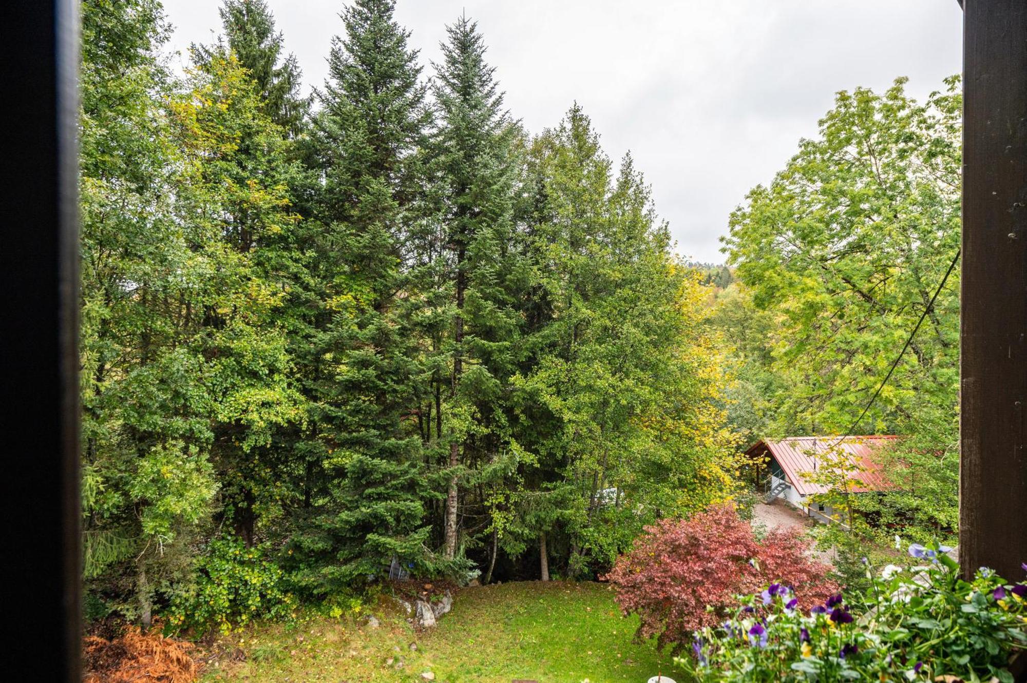 Landhaus Am Schmiedebach Wittenschwand Luaran gambar